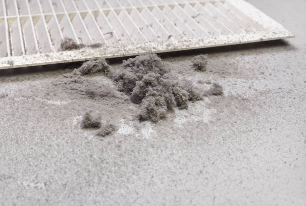 Best HVAC System Cleaning  in Rayne, LA