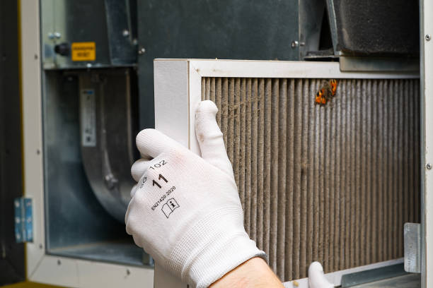 Best Affordable Duct Cleaning Services  in Rayne, LA