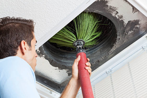 Best Emergency Air Duct Cleaning  in Rayne, LA
